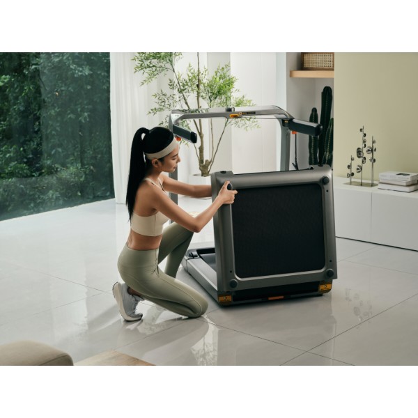 Фото - Беговая дорожка KingSmith WalkingPad Treadmill X218